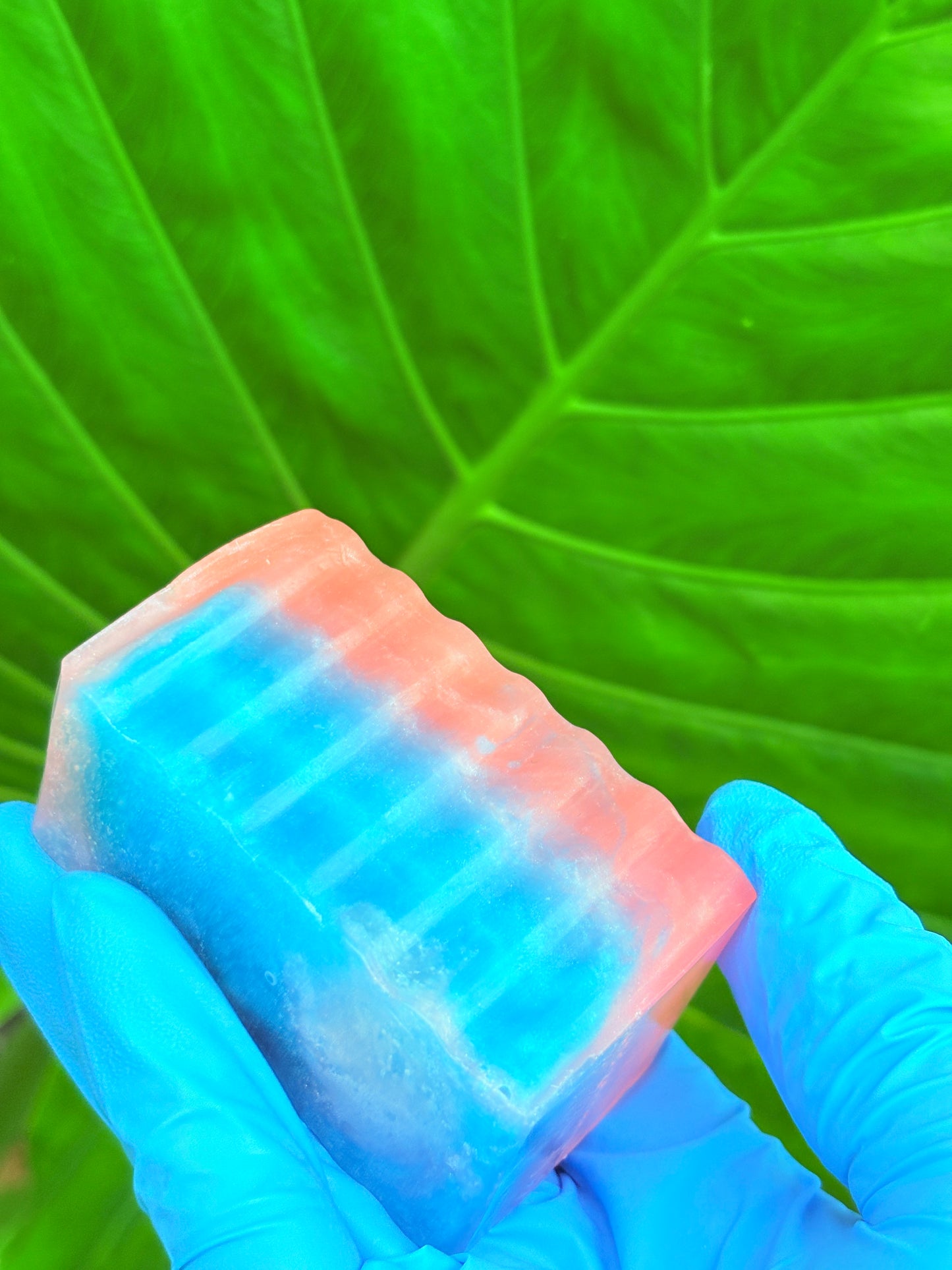 Blushberry Balance Bar