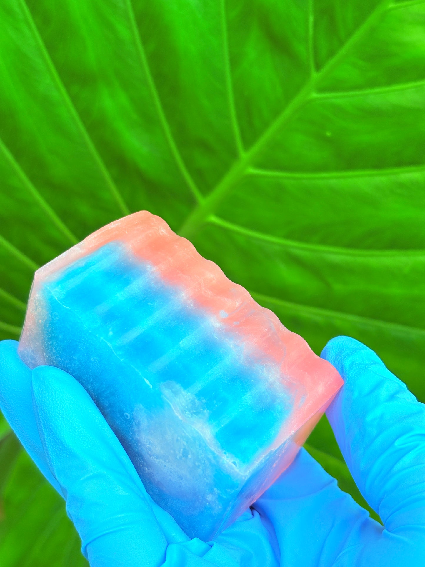 Blushberry Balance Bar
