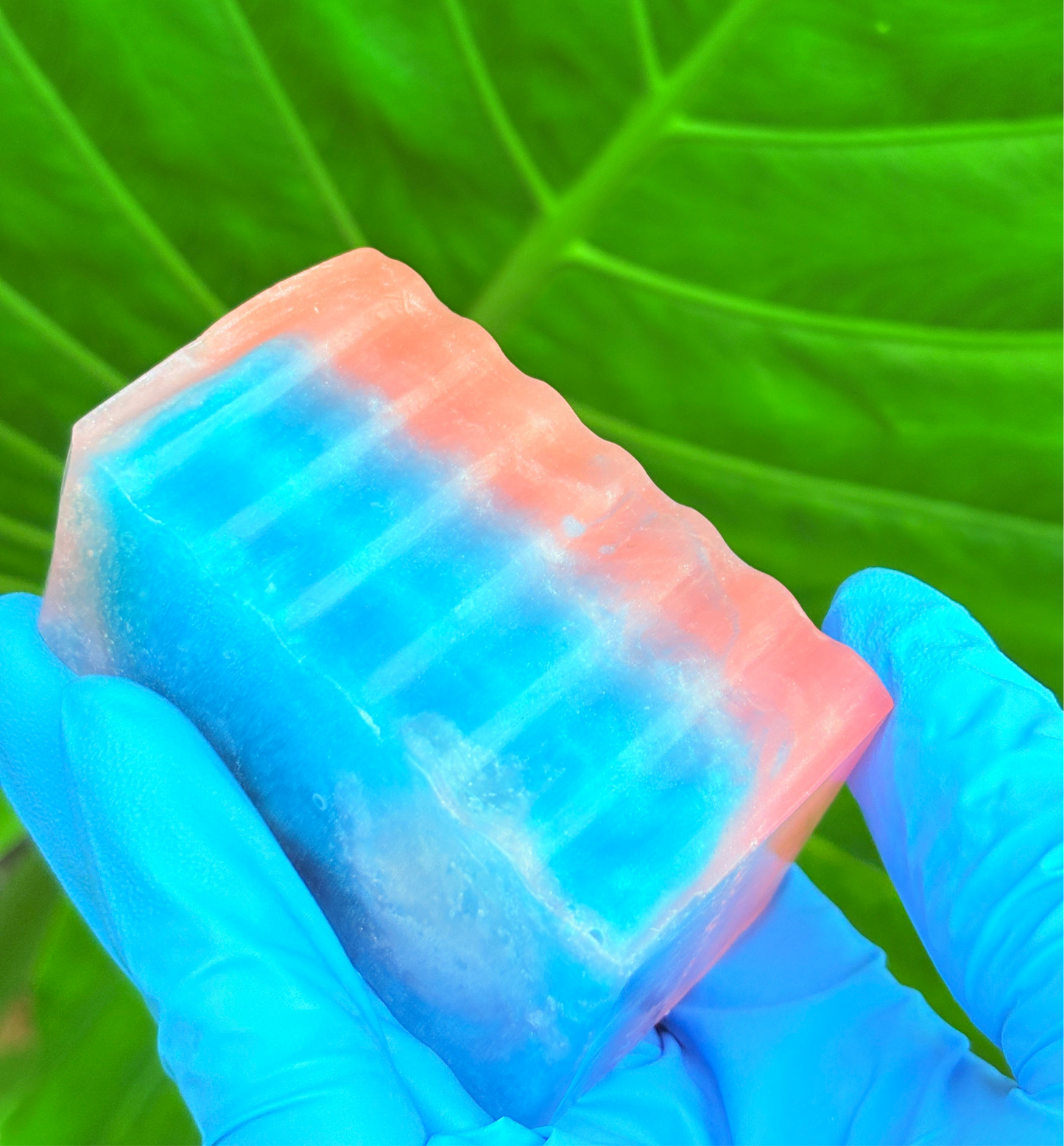 Blushberry Balance Bar