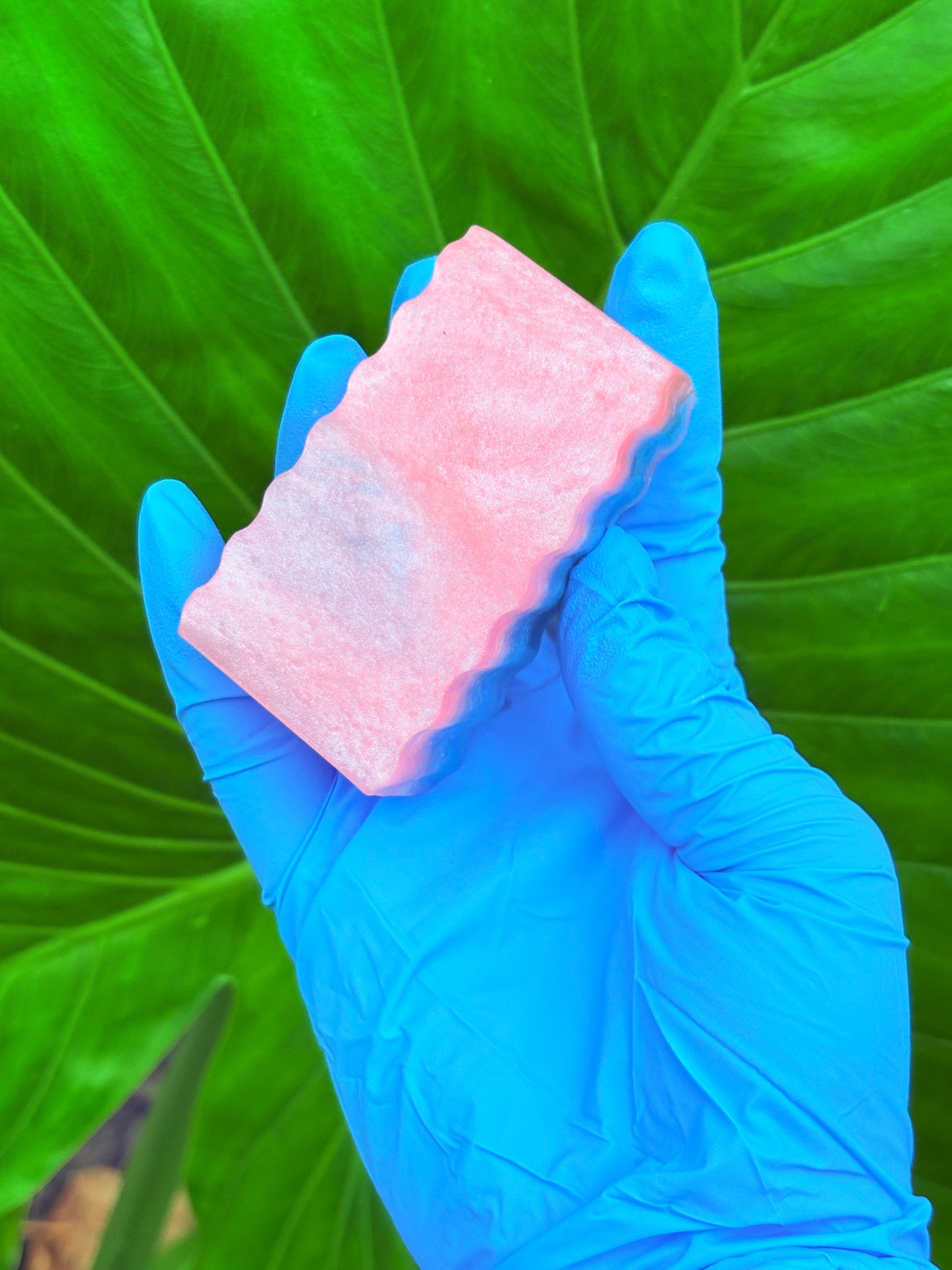 Blushberry Balance Bar